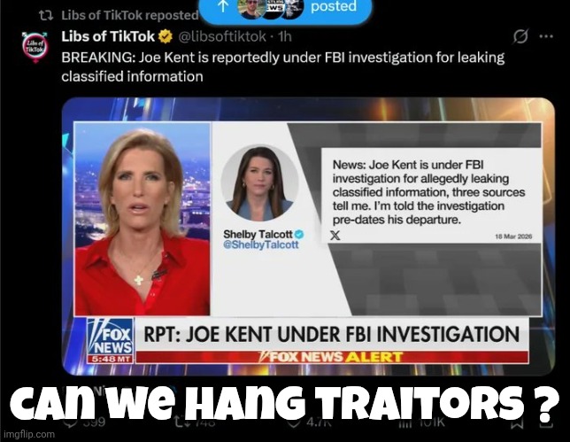 Quit before he got Fired | can we hang traitors ? | image tagged in rino,traitor,execution,too good,tds,mental disorder | made w/ Imgflip meme maker