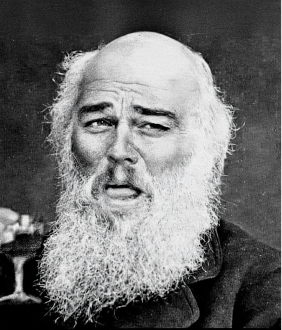 Darwin Di Caprio Blank Meme Template