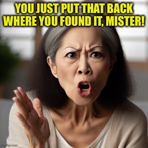 asian mom yelling hell no | YOU JUST PUT THAT BACK WHERE YOU FOUND IT, MISTER! | image tagged in asian mom yelling hell no | made w/ Imgflip meme maker