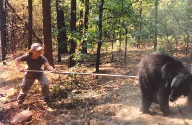 Poking the bear | image tagged in poking the bear | made w/ Imgflip meme maker