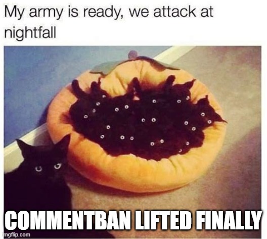 although it was 48 hours, i still do not regret it | COMMENTBAN LIFTED FINALLY | image tagged in grimnemo's army | made w/ Imgflip meme maker