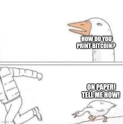 Goose Chase | HOW DO YOU PRINT BITCOIN? ON PAPER! TELL ME HOW! | image tagged in goose chase | made w/ Imgflip meme maker