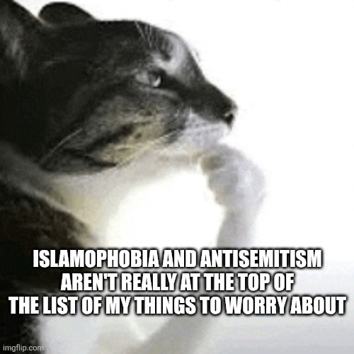 ISLAMOPHOBIA AND ANTISEMITISM AREN'T REALLY AT THE TOP OF THE LIST OF MY THINGS TO WORRY ABOUT | image tagged in funny memes | made w/ Imgflip meme maker