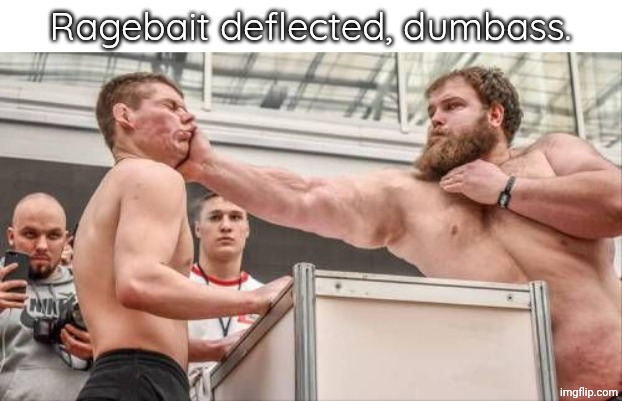 Ragebait deflected, dumbass Blank Meme Template