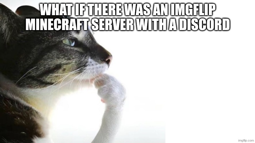 hm | WHAT IF THERE WAS AN IMGFLIP MINECRAFT SERVER WITH A DISCORD | image tagged in thinker,discord,minecraft,imgflip,gaming | made w/ Imgflip meme maker