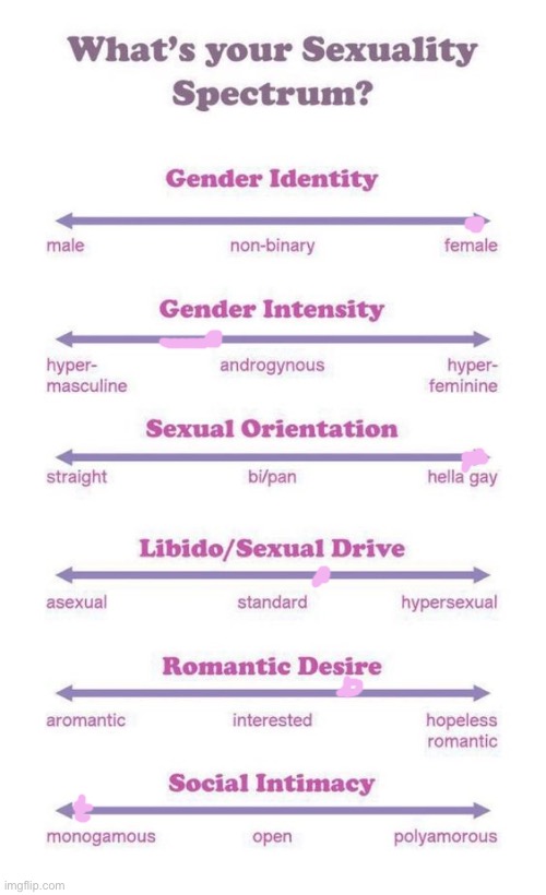 What's your sexuality spectrum? | image tagged in what's your sexuality spectrum | made w/ Imgflip meme maker