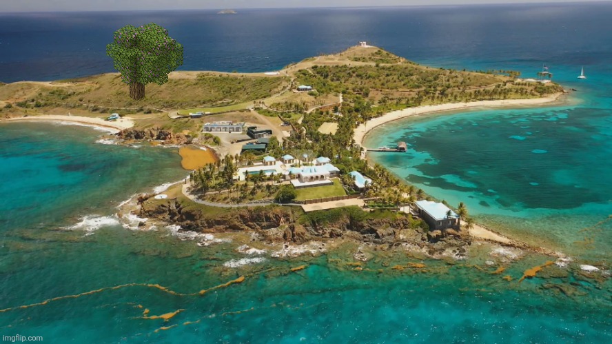 Lush cave here | image tagged in epstein island,azalea tree | made w/ Imgflip meme maker