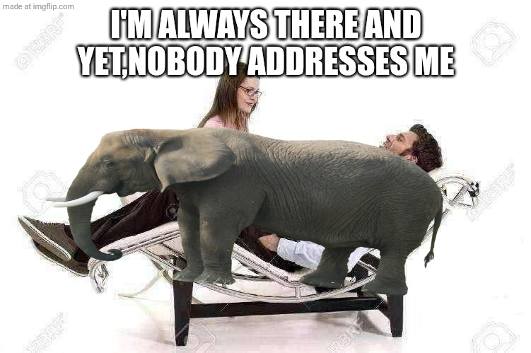 Therapist | I'M ALWAYS THERE AND YET,NOBODY ADDRESSES ME | image tagged in therapist,elephant in the room,bad pun | made w/ Imgflip meme maker