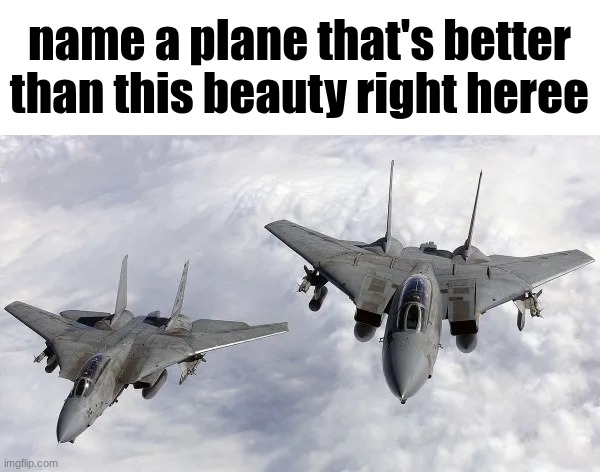 typo | name a plane that's better than this beauty right heree | image tagged in f 14 tomcat | made w/ Imgflip meme maker