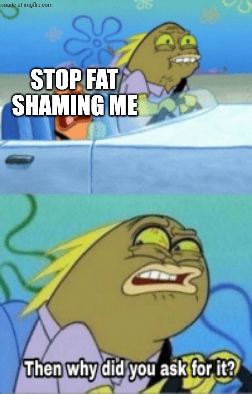 then why did you ask for it | STOP FAT SHAMING ME | image tagged in then why did you ask for it | made w/ Imgflip meme maker