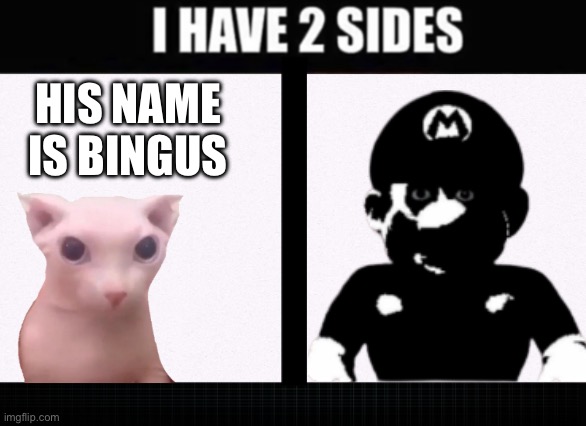 I have two sides | HIS NAME IS BINGUS | image tagged in i have two sides | made w/ Imgflip meme maker