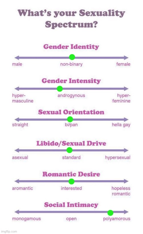 oh yeah also im pretty sure im partially polyamorous (fine with one but also more) | image tagged in what's your sexuality spectrum | made w/ Imgflip meme maker