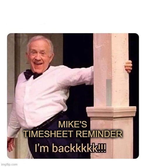 I'm Back!!! Timesheet Reminder | MIKE'S TIMESHEET REMINDER | image tagged in i m backkkkk,timesheet reminder,timesheet meme,timesheet,timesheets | made w/ Imgflip meme maker