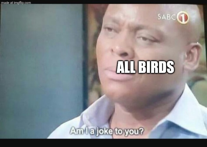 Am I a joke to you? | ALL BIRDS | image tagged in am i a joke to you | made w/ Imgflip meme maker