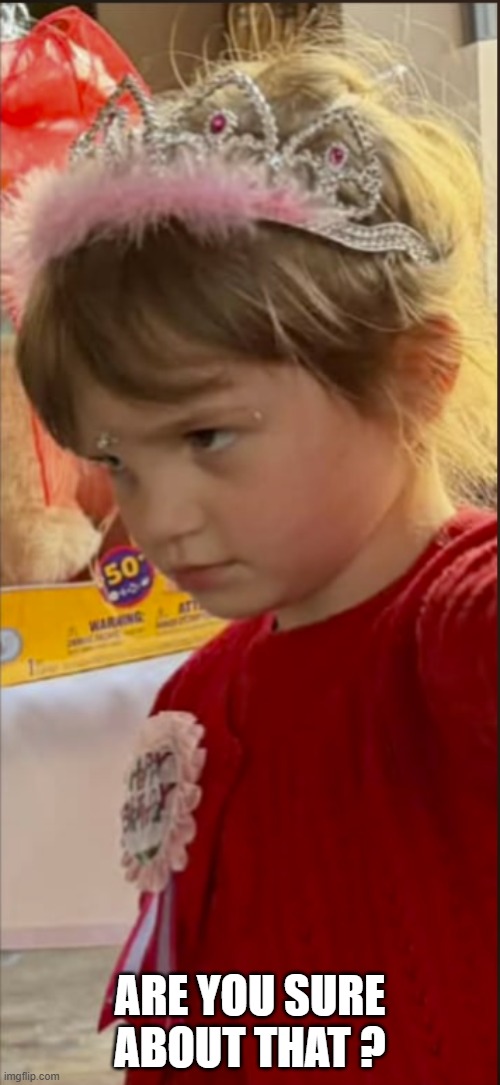 You sure ? | ARE YOU SURE ABOUT THAT ? | image tagged in no nonsense girl | made w/ Imgflip meme maker