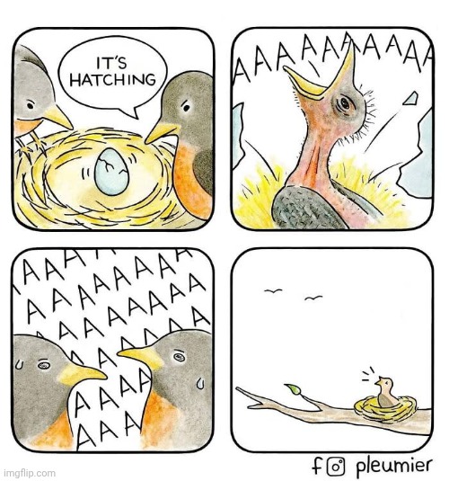 The hatch | image tagged in hatch,hatching,birds,egg,comics,comics/cartoons | made w/ Imgflip meme maker