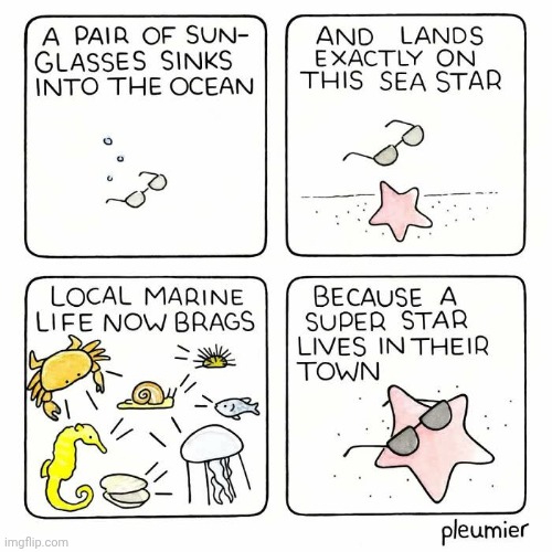 Super sea starfish | image tagged in starfish,superstar,sunglasses,ocean,sea,comics | made w/ Imgflip meme maker