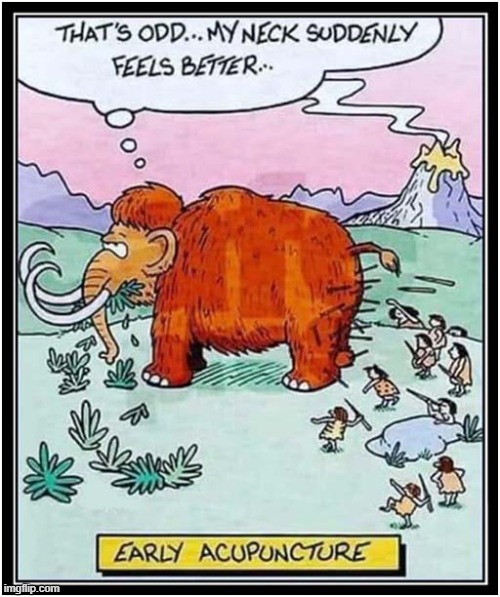 Neolithic Alternative Medicine | image tagged in mammoth,acupuncture | made w/ Imgflip meme maker