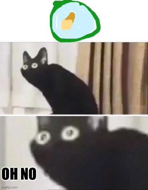 I love this meme | OH NO | image tagged in oh no black cat | made w/ Imgflip meme maker