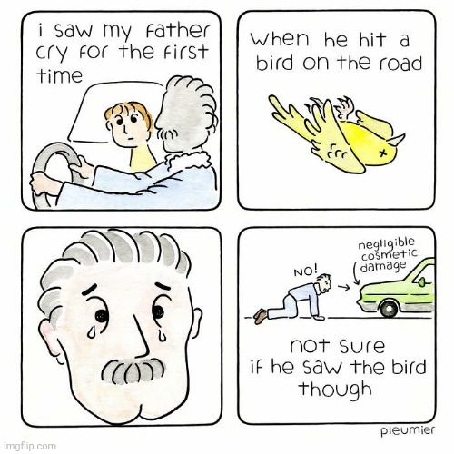Such a touching story | image tagged in birds,bird,cars,road,father,comics/cartoons | made w/ Imgflip meme maker
