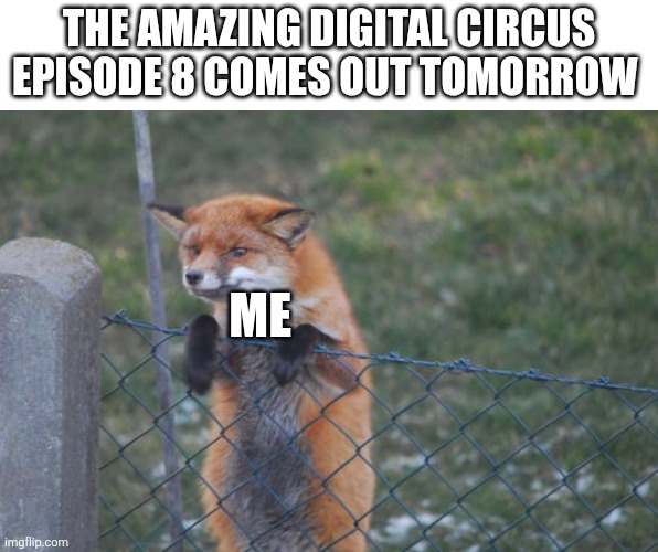 Hype | THE AMAZING DIGITAL CIRCUS EPISODE 8 COMES OUT TOMORROW; ME | image tagged in fox wanna buy,the amazing digital circus | made w/ Imgflip meme maker