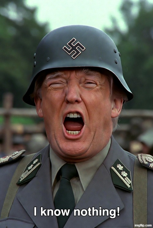 Donald Trump Sgt. Shultz Nothing | image tagged in donald trump sgt shultz nothing | made w/ Imgflip meme maker