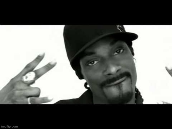 snoop drop it like it's hot | image tagged in snoop drop it like it's hot | made w/ Imgflip meme maker