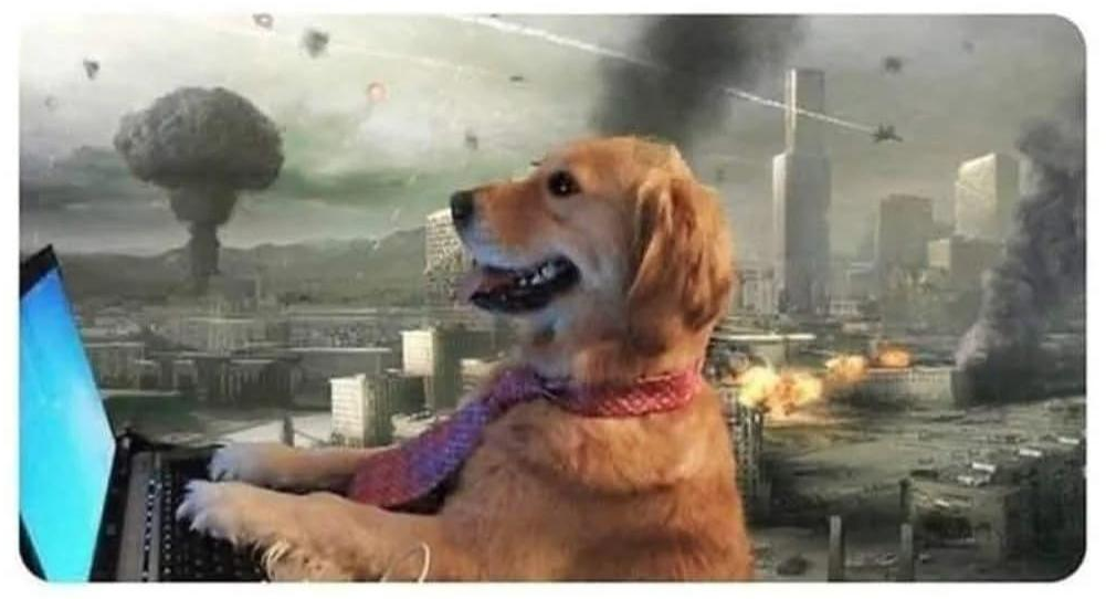 Dog WW3 Blank Meme Template