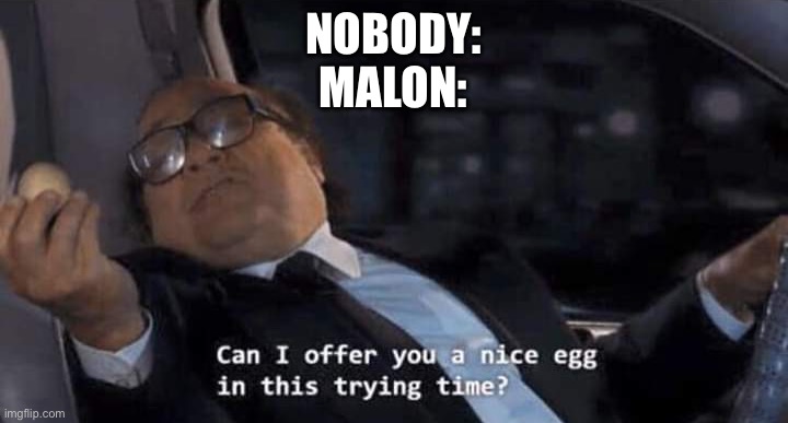 Zelda | NOBODY:
MALON: | image tagged in can i offer you a nice egg in this trying time | made w/ Imgflip meme maker