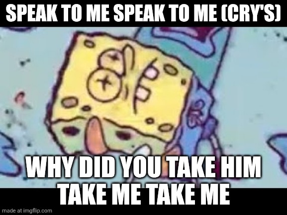 When your internet goes out | SPEAK TO ME SPEAK TO ME (CRY'S); WHY DID YOU TAKE HIM
TAKE ME TAKE ME | image tagged in spongebob,internet | made w/ Imgflip meme maker