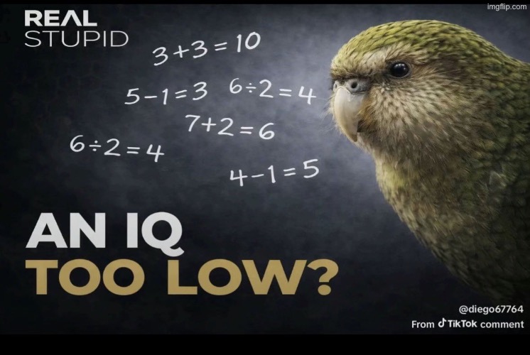 An IQ too low | image tagged in an iq too low | made w/ Imgflip meme maker