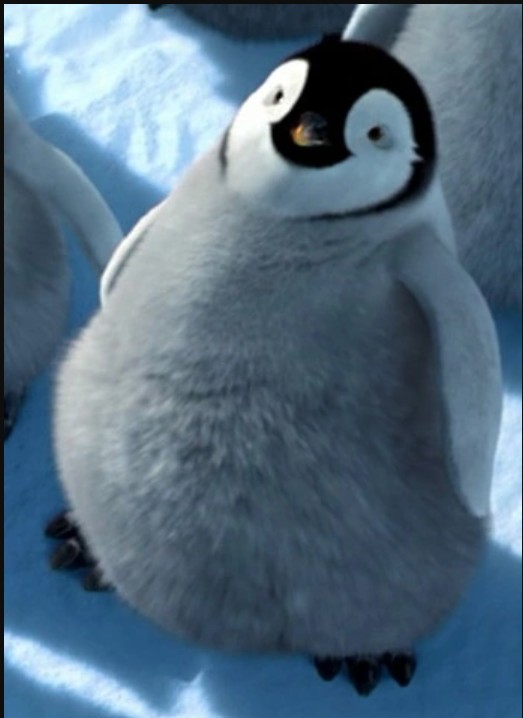 Cute Penguin Blank Meme Template