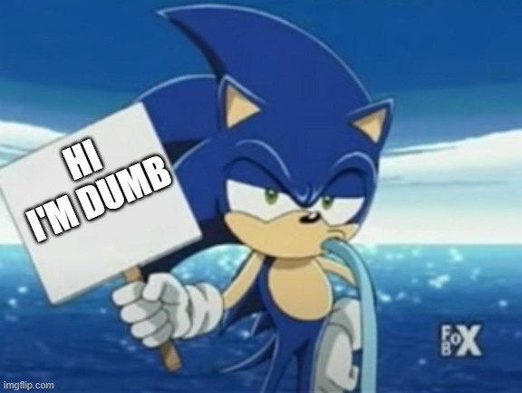 Sonic Sign Meme | HI I'M DUMB | image tagged in sonic sign meme | made w/ Imgflip meme maker