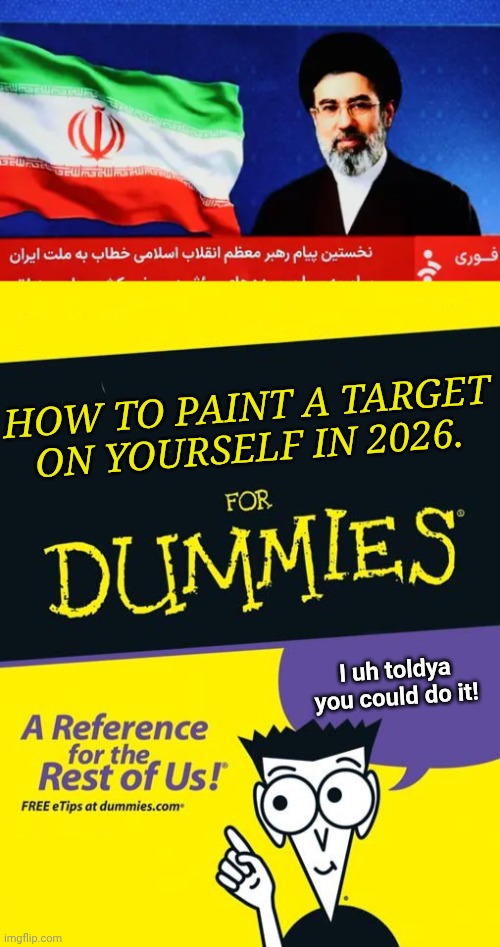 Ira. Leadership be like | HOW TO PAINT A TARGET ON YOURSELF IN 2026. I uh toldya you could do it! | image tagged in for dummies book | made w/ Imgflip meme maker