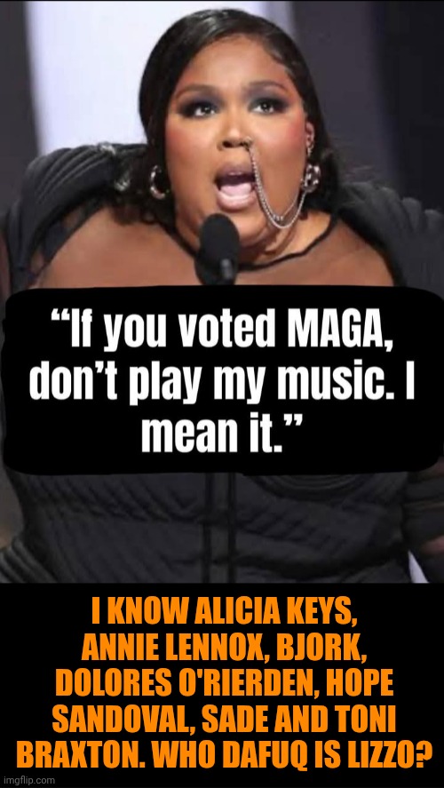 Funny | I KNOW ALICIA KEYS, ANNIE LENNOX, BJORK, DOLORES O'RIERDEN, HOPE SANDOVAL, SADE AND TONI BRAXTON. WHO DAFUQ IS LIZZO? | image tagged in funny,politics,maga,singer,dafuq,libtards | made w/ Imgflip meme maker