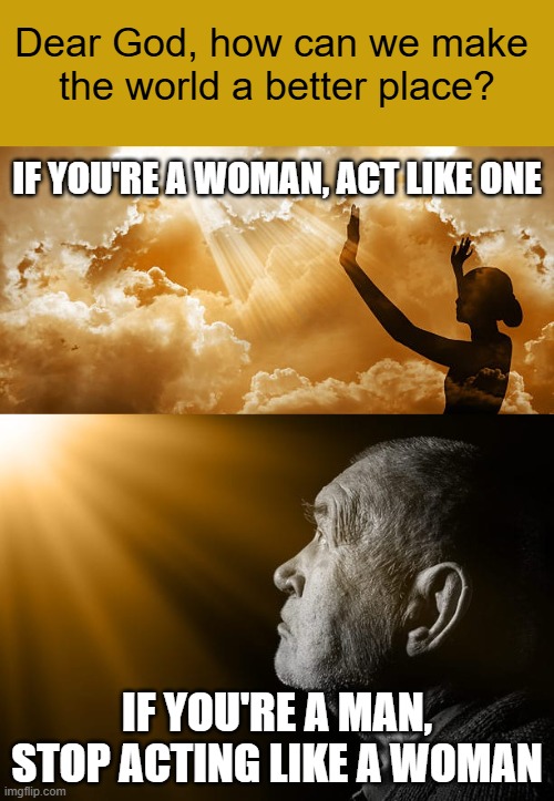 Dear God, how can we make 
the world a better place? IF YOU'RE A WOMAN, ACT LIKE ONE; IF YOU'RE A MAN, STOP ACTING LIKE A WOMAN | image tagged in truth | made w/ Imgflip meme maker