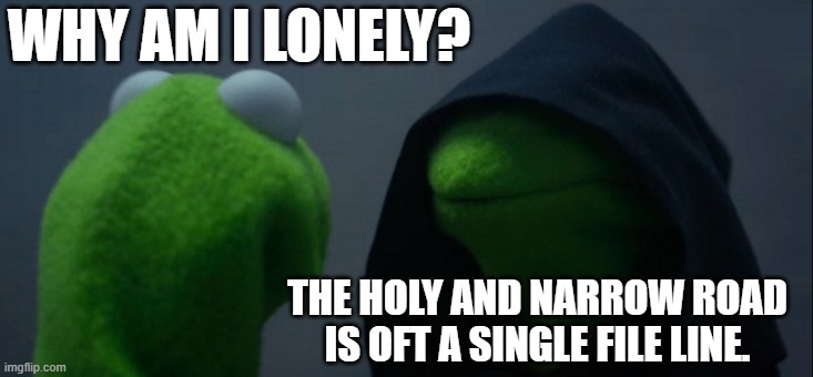 Matthew 7:14 | WHY AM I LONELY? THE HOLY AND NARROW ROAD IS OFT A SINGLE FILE LINE. | image tagged in memes,evil kermit,jesus,christianity,lonely,loneliness | made w/ Imgflip meme maker