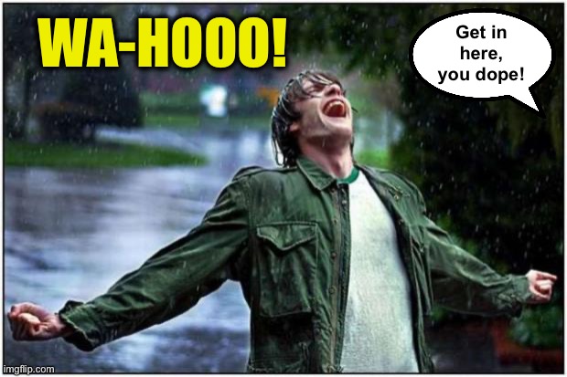 Extreme Rain Happiness | WA-HOOO! Get in here, you dope! | image tagged in extreme rain happiness | made w/ Imgflip meme maker
