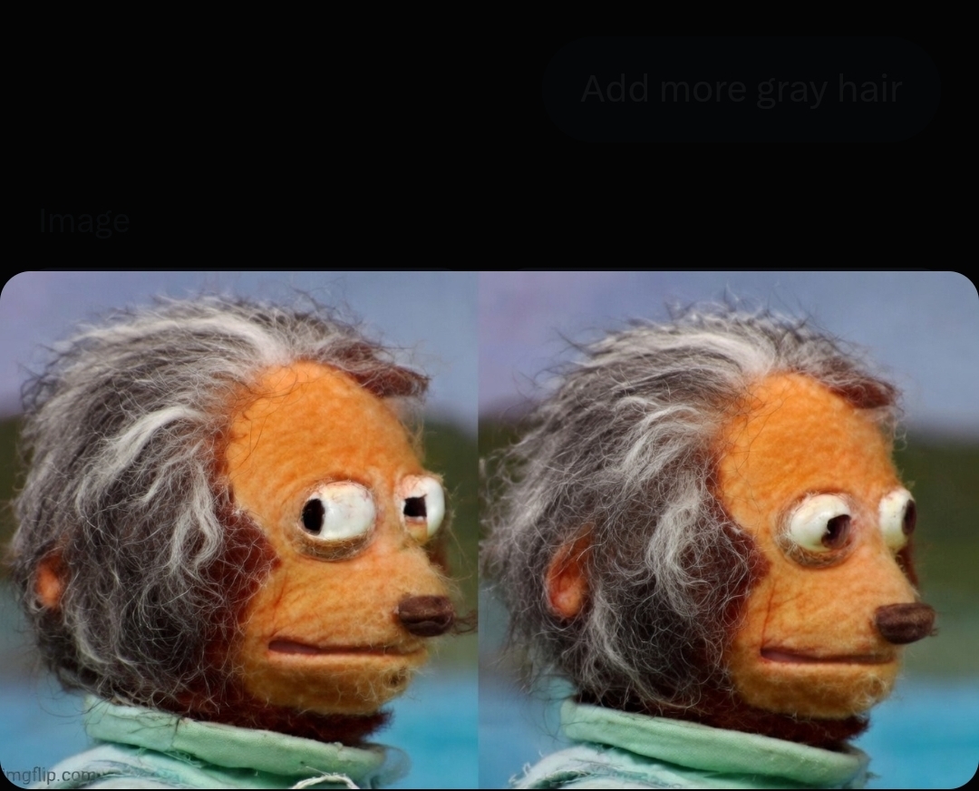 Older monkey puppet Blank Meme Template