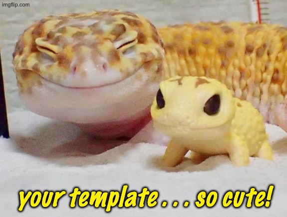 Gecko's Baby | your template . . . so cute! | image tagged in gecko's baby | made w/ Imgflip meme maker