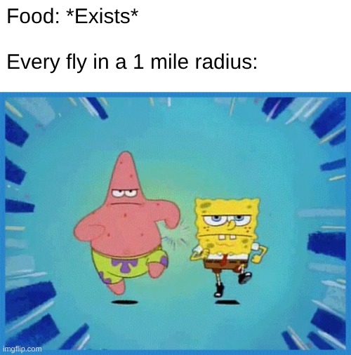 Spongebob and Patrick Running | Food: *Exists*
 
Every fly in a 1 mile radius: | image tagged in spongebob and patrick running | made w/ Imgflip meme maker