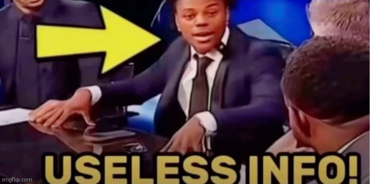 useless info | image tagged in useless info | made w/ Imgflip meme maker