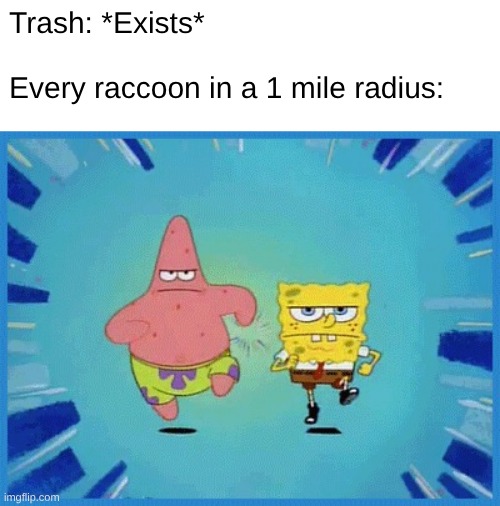 Spongebob and Patrick Running | Trash: *Exists*
 
Every raccoon in a 1 mile radius: | image tagged in spongebob and patrick running | made w/ Imgflip meme maker