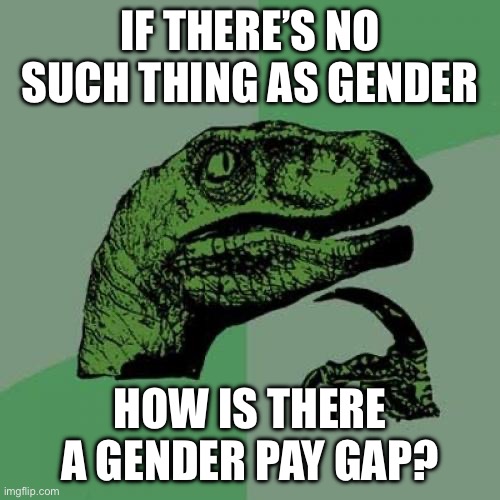 Philosoraptor | IF THERE’S NO SUCH THING AS GENDER; HOW IS THERE A GENDER PAY GAP? | image tagged in memes,philosoraptor | made w/ Imgflip meme maker
