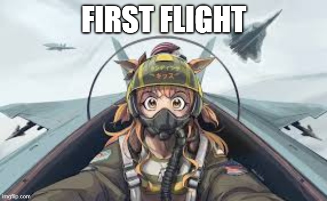 True | FIRST FLIGHT | image tagged in fighter jet | made w/ Imgflip meme maker