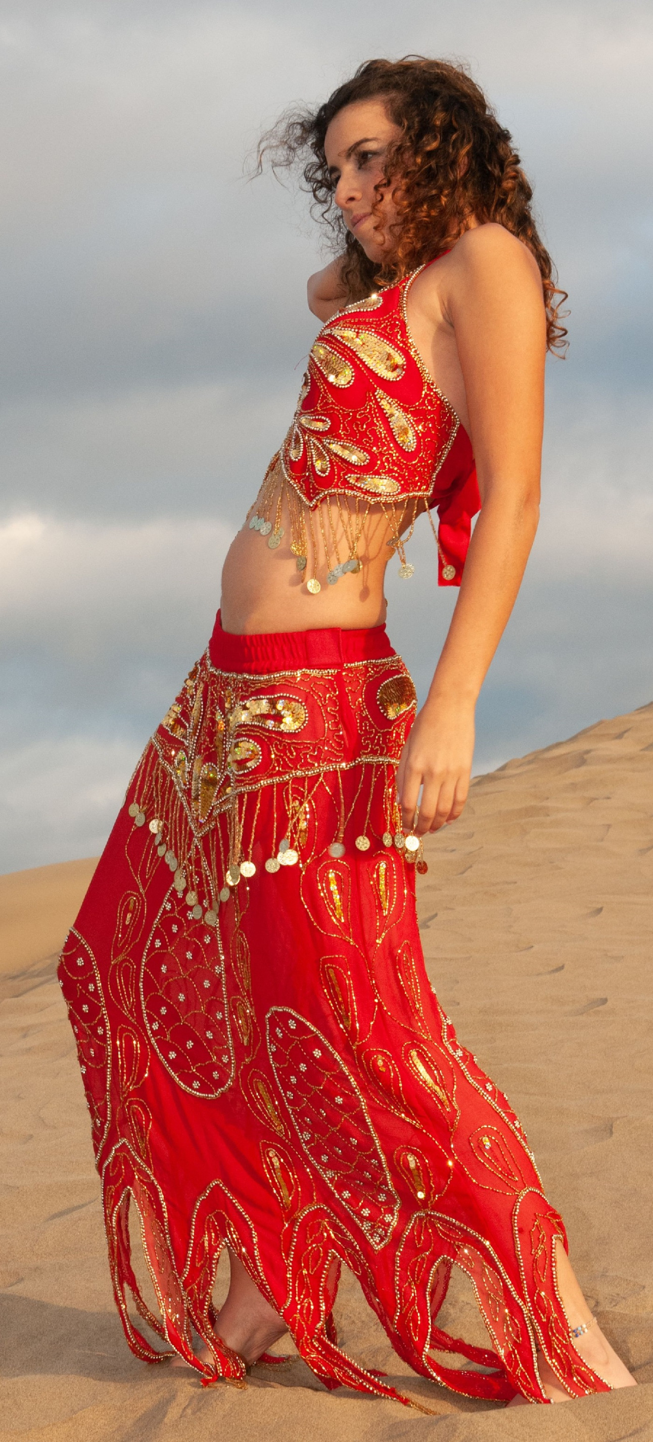 Moroccan Belly Dancer Blank Meme Template