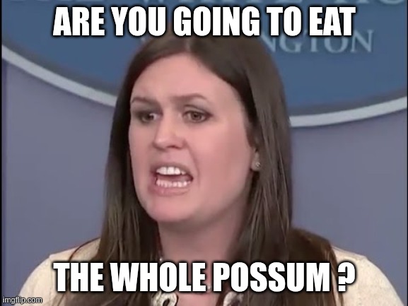 possum | ARE YOU GOING TO EAT; THE WHOLE POSSUM ? | image tagged in sarah sanders | made w/ Imgflip meme maker