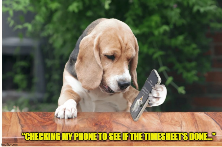 Timesheet Pawlease | “CHECKING MY PHONE TO SEE IF THE TIMESHEET’S DONE…” | image tagged in timesheet pawlease,timesheet reminder,timesheet meme,dog memes,funny memes,cute memes | made w/ Imgflip meme maker