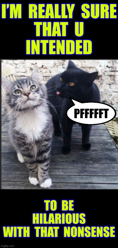 A Good Joke … Can Sometimes Not Stick The Landing !!!  : ) | I’M  REALLY  SURE
 THAT  U 
INTENDED; PFFFFFT; TO  BE
 HILARIOUS 
 WITH  THAT  NONSENSE | image tagged in pfft,the truth teller,cat meme,funny cat | made w/ Imgflip meme maker