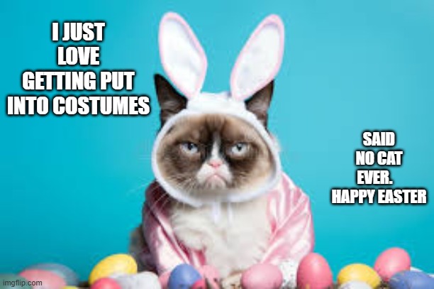"We just love putting on Easter costumes", said no cat ever. | I JUST LOVE GETTING PUT INTO COSTUMES; SAID NO CAT EVER.    HAPPY EASTER | image tagged in cat,kittens,easter,costumes,funny,humor | made w/ Imgflip meme maker